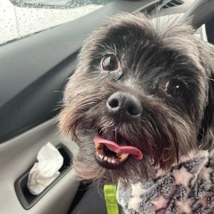 Meet your Posher, Jenny